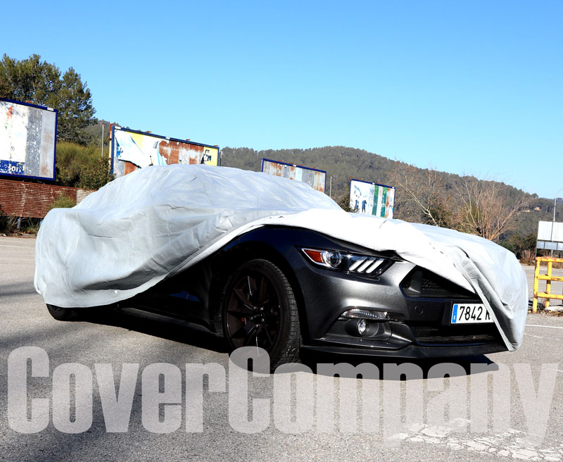 bache ford mustang